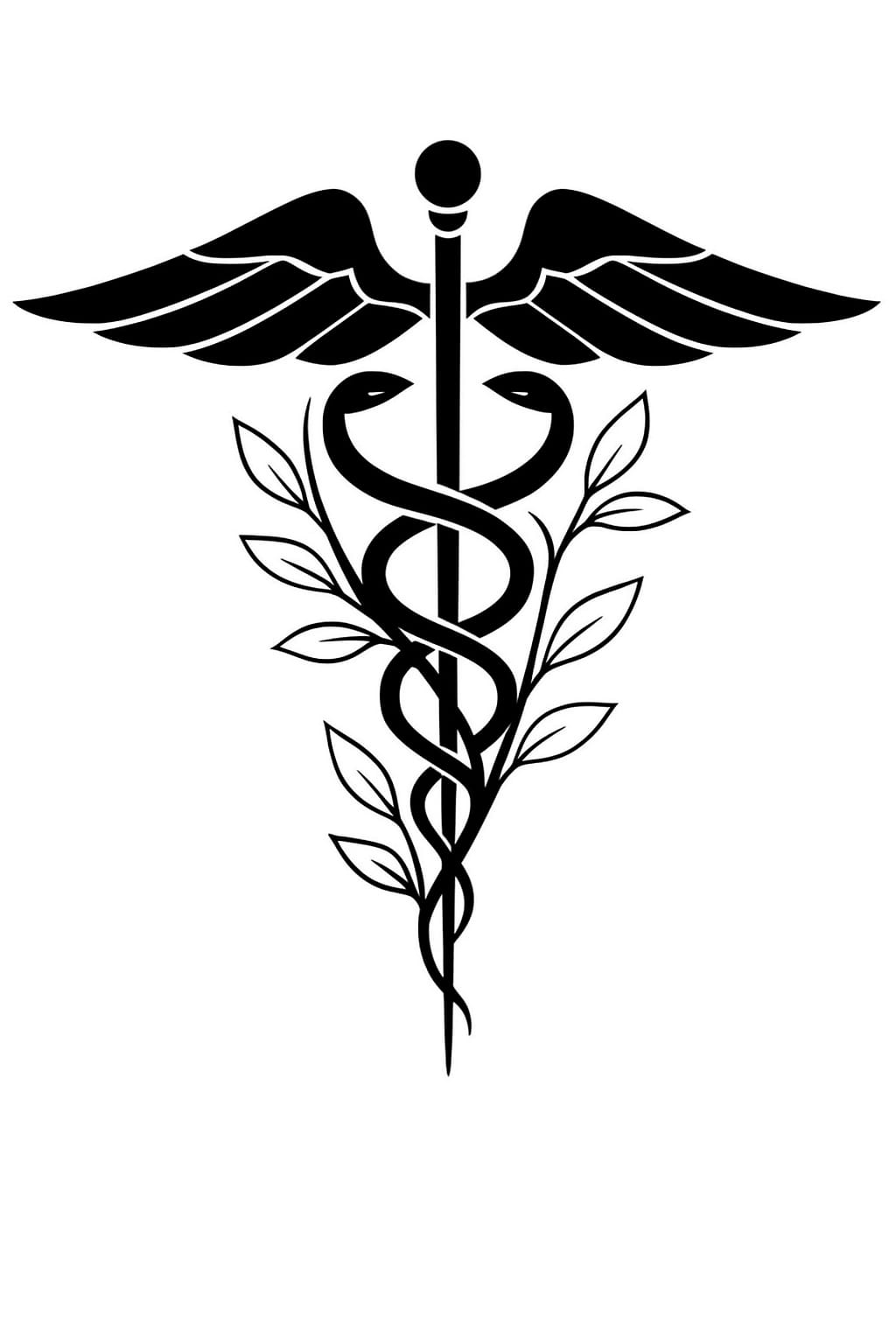 Plantas medicinais e neurociência